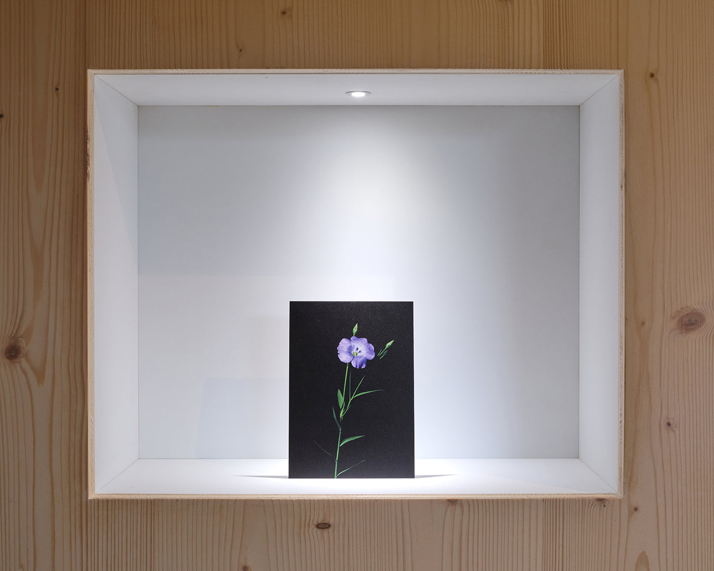 27grad Postkarten-Set