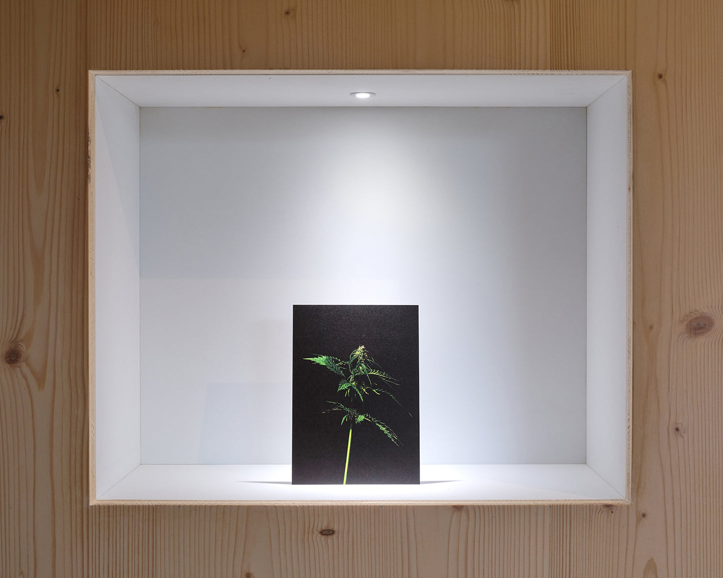 27grad Postkarten-Set