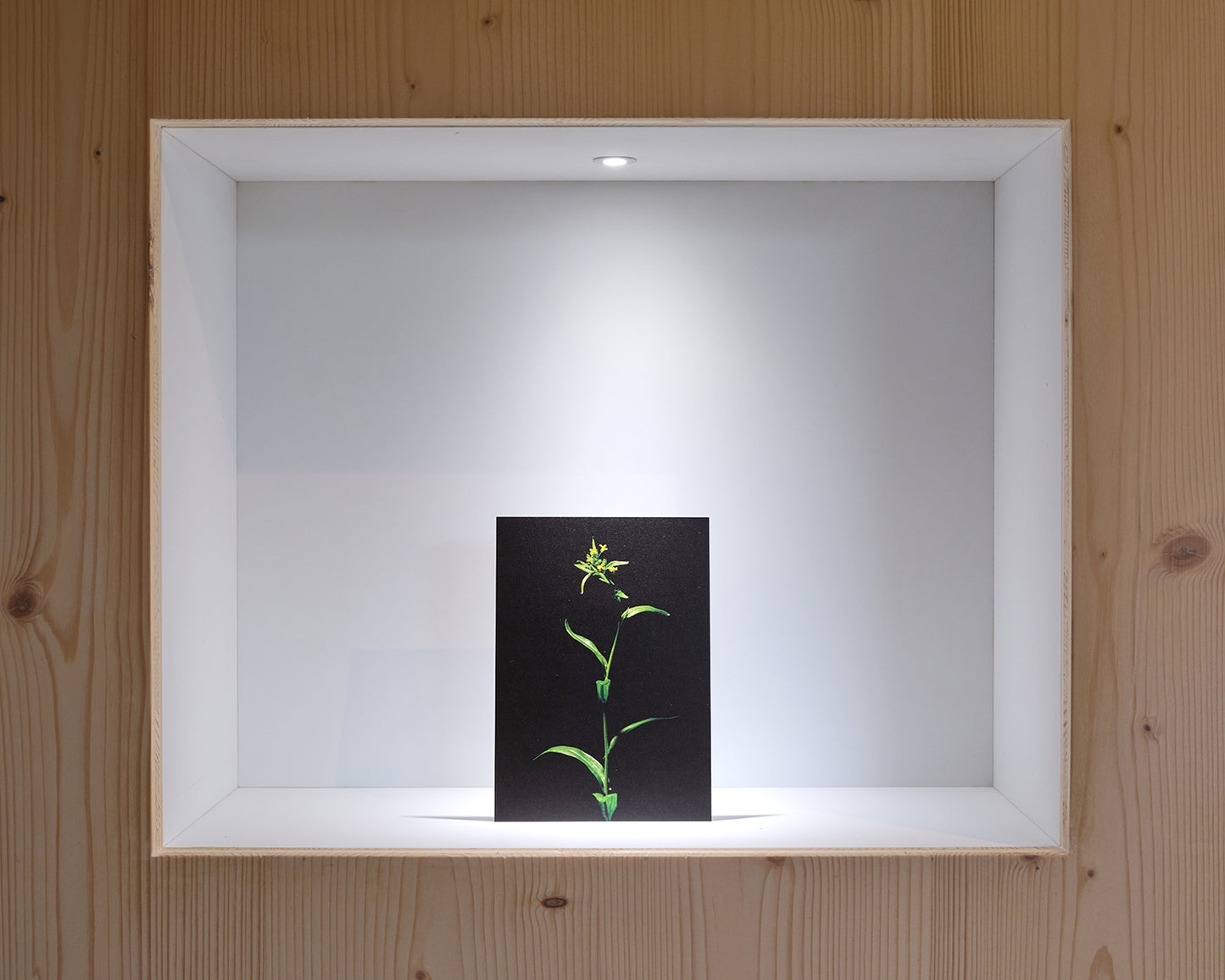 27grad Postkarten-Set