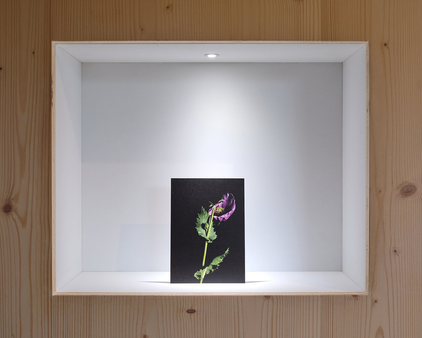 27grad Postkarten-Set