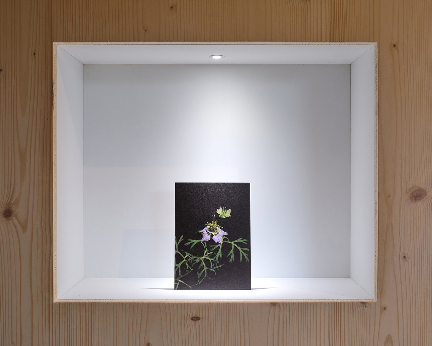 27grad Postkarten-Set