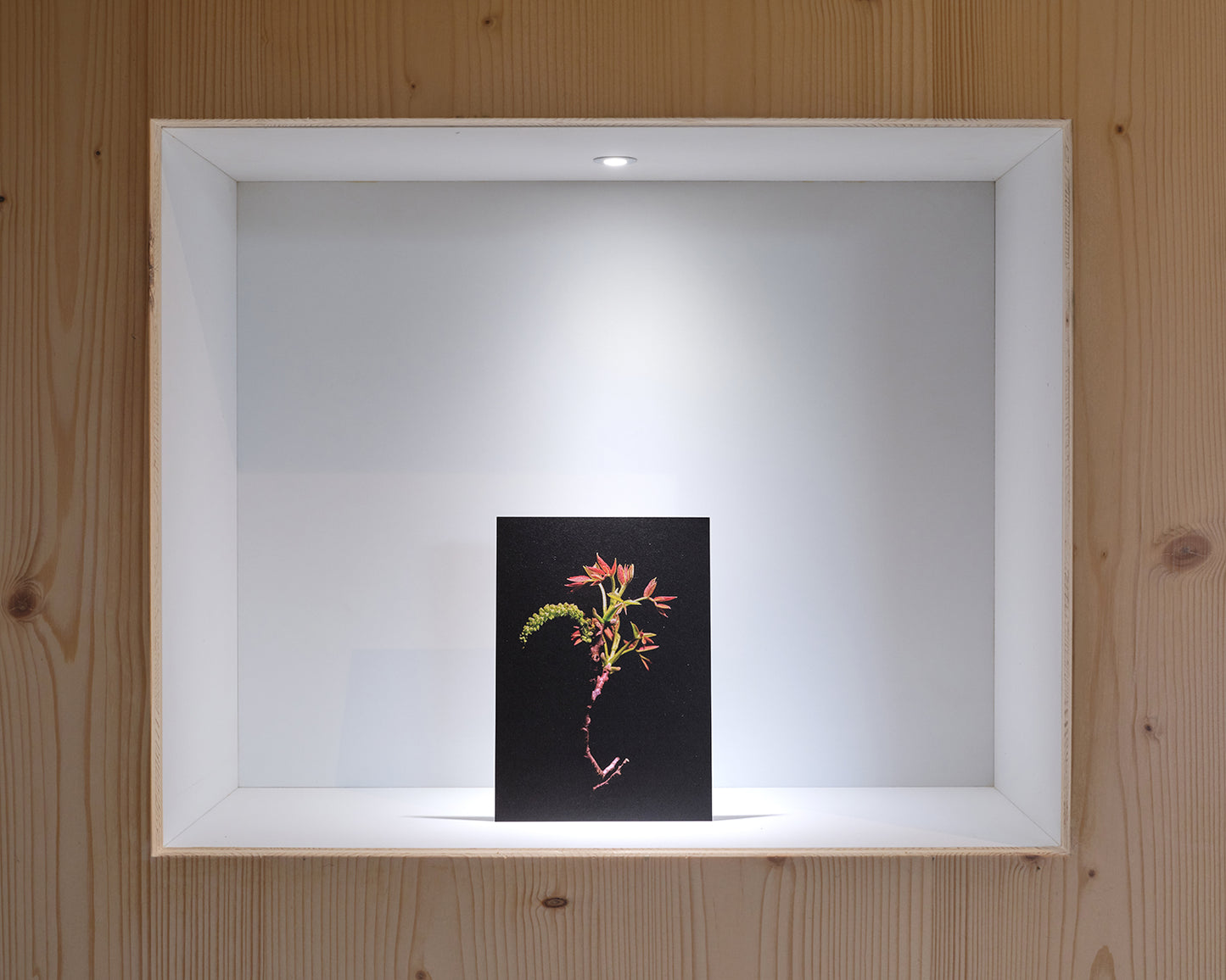 27grad Postkarten-Set