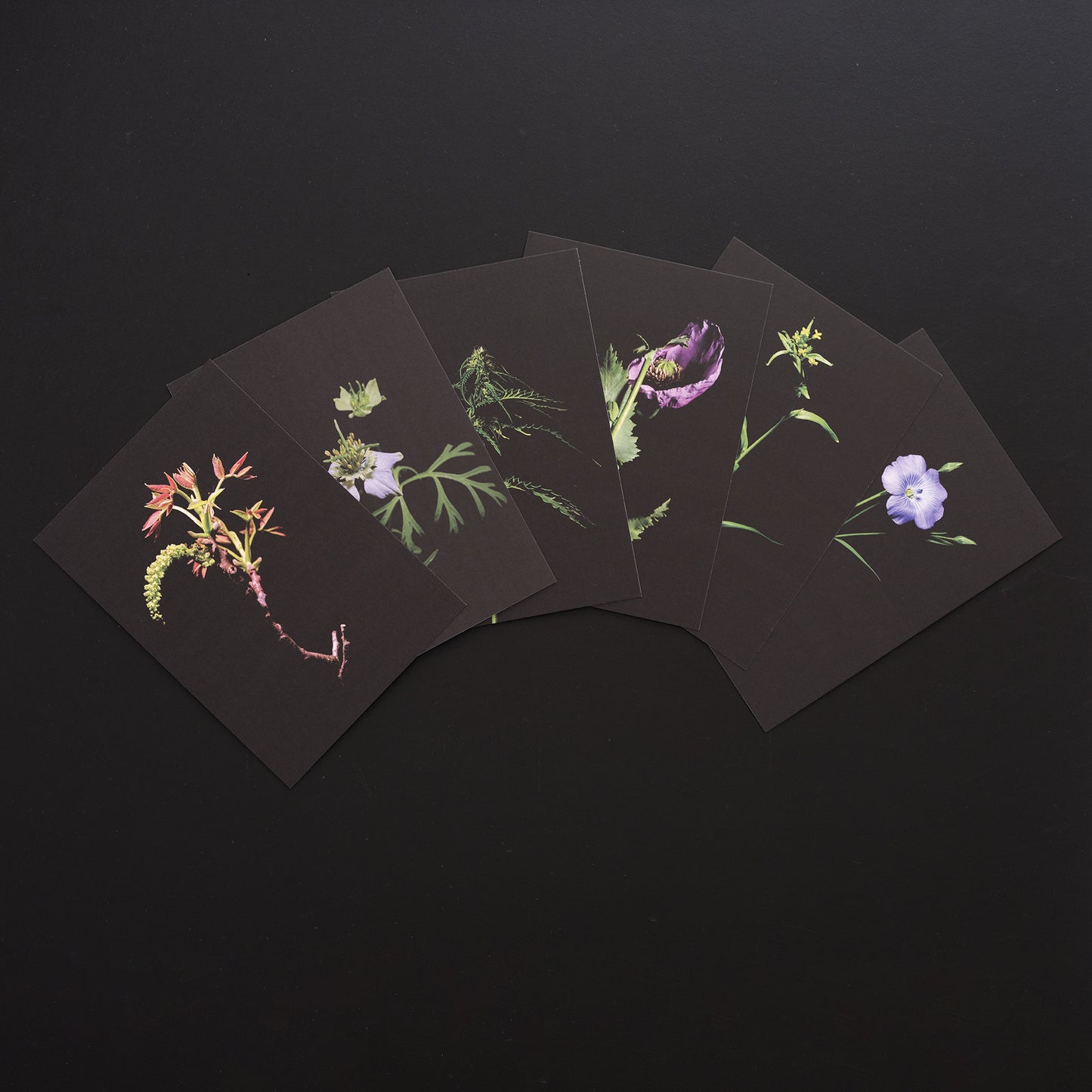 27grad Postkarten-Set