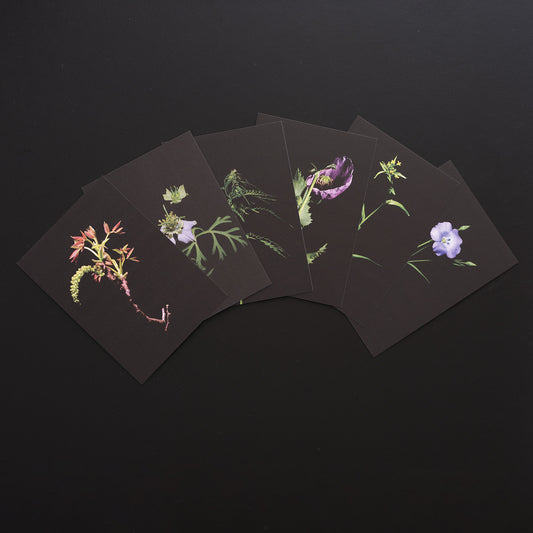 27grad Postkarten-Set